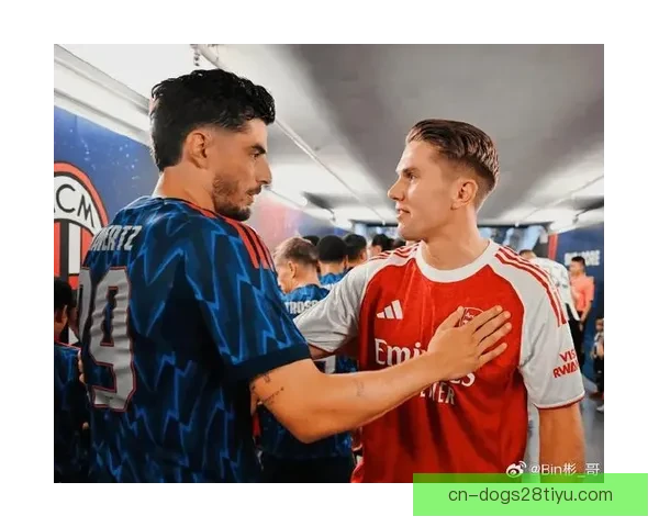 利兹战阿森纳哲凯赖什哈弗茨萨卡