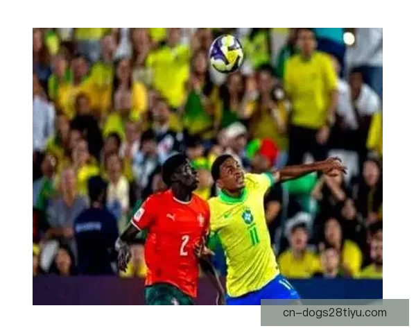 本菲卡续约阿尼西奥至2031